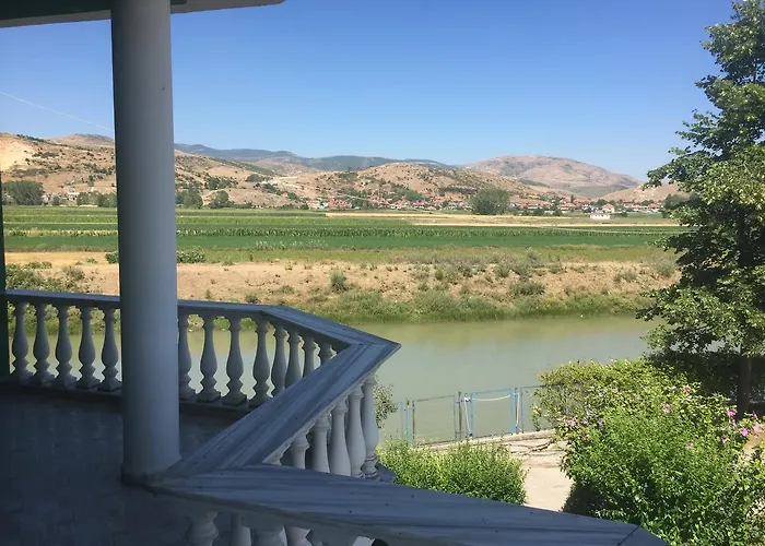 Kabashi * Qender Bulgarec