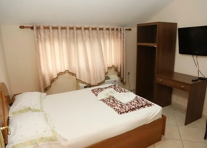 Kabashi * Qender Bulgarec