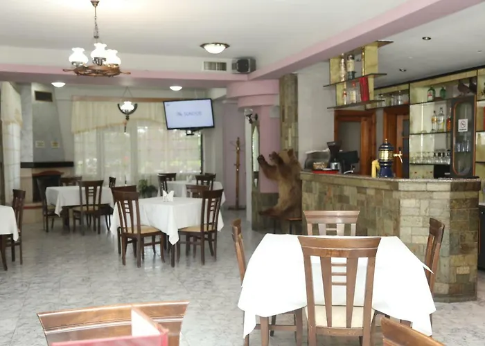 Kabashi * Qender Bulgarec